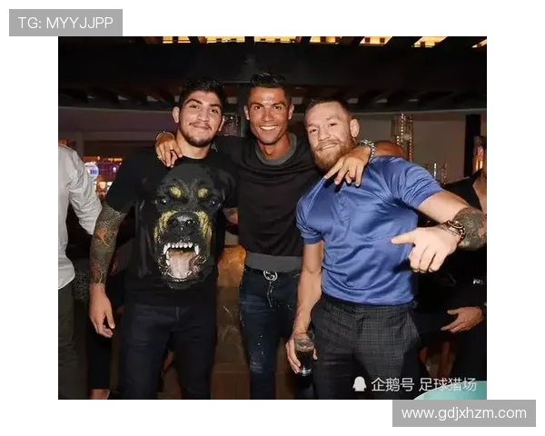 2013年NBA与足球跨界球星的精彩表现与双项体育挑战分析